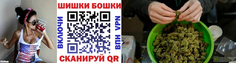 Где купить наркотики Онега Псилоцибиновые грибы А ПВП Меф Бошки Шишки