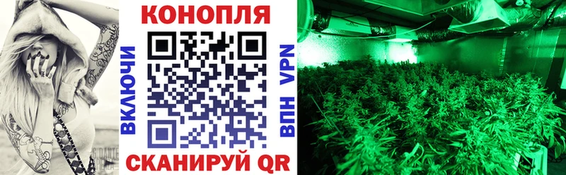 где купить наркотик  Онега  Марихуана Ganja 